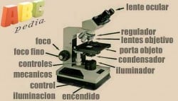 partes-microscopio.jpg (450×258)