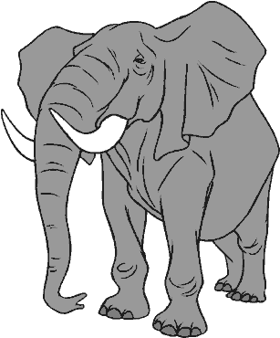dibujo de elefante