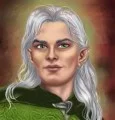 imagen de elfo gris