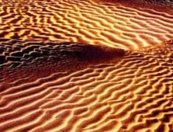 foto dibujos del viento en las dunas