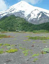 paso+de+los+andes