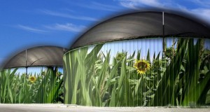 digestor de biogas