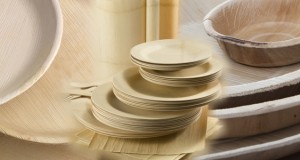 Platos desechables biodegradables muy útiles platos desechables biodegradables