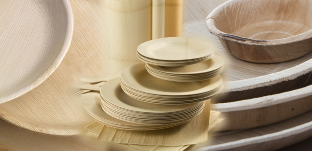platos-desechables-biodegradables platos desechables biodegradables