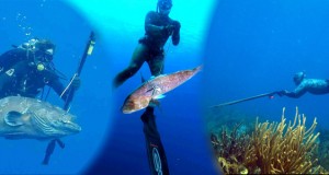 pesca submarina