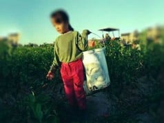 día mundial contra el trabajo infantil