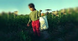día mundial contra el trabajo infantil