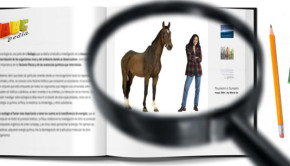 aprender a montar a caballo