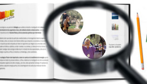 cursos de tiro con arco