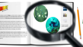 en qué consiste el buceo comercial