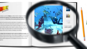 formas de buceo profesional