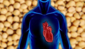 beneficios de la soja para el corazón