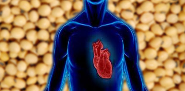 beneficios de la soja para el corazón