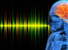 los ruidos fuertes modifican el cerebro