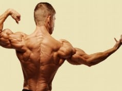cómo reparar los músculos