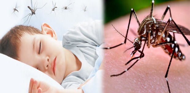 cuidando a los niños del dengue