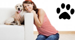 los perros nos entienden
