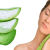 propiedades-medicinales-del-aloe-vera