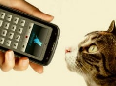 una aplicación para hablar con tu gato