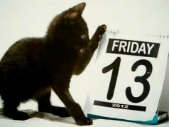 los gatos negros dan mala suerte