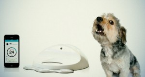 tecnología para mascotas