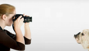 secretos para fotografia a tu mascota