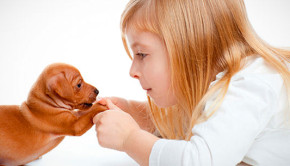 beneficios de las terapias con animales
