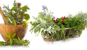 naturopatia