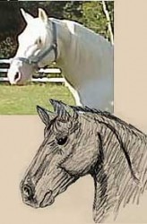 ejemplo de dibujo artístico