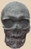 hombre-de-tepexpan