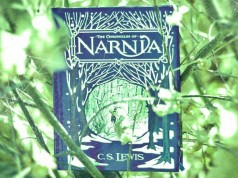 Las Crónicas de Narnia: libros, películas porta del lbro primero de Narnia