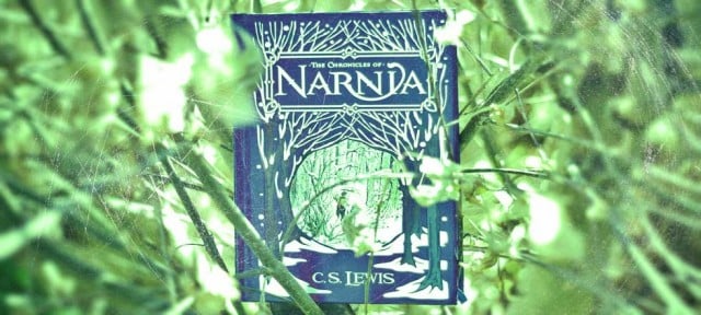 porta del lbro primero de Narnia