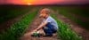 tractores-agricolas